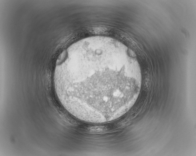 X0000115340461200911301551