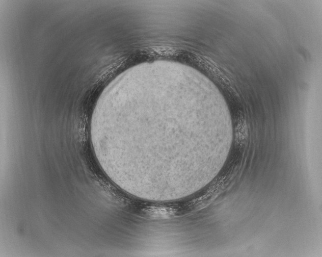 X0000115340464200911301551