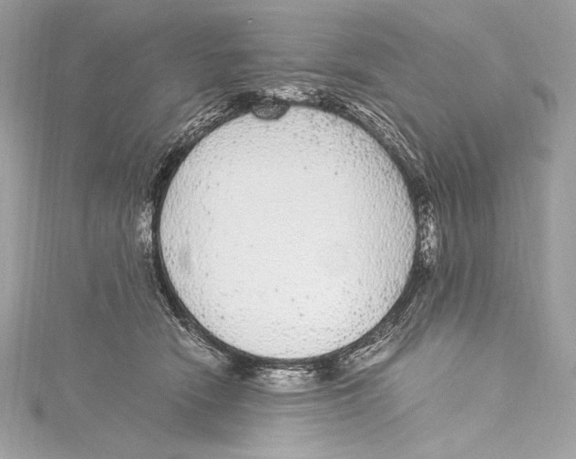 X0000115340466200911301551