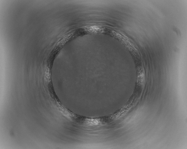 X0000115340469200911301551