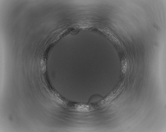 X0000115340471200911301551