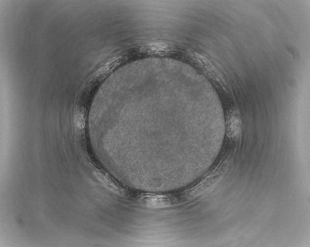 X0000115340472200911301551