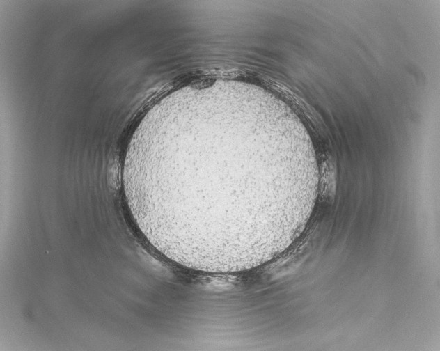 X0000115340474200911301551