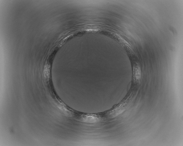 X0000115340475200911301551