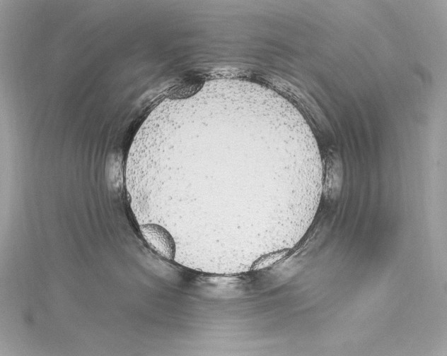 X0000115340478200911301551