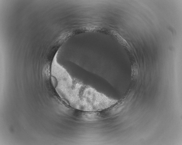 X0000115340479200911301551