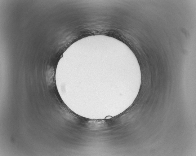 X0000115340480200911301551