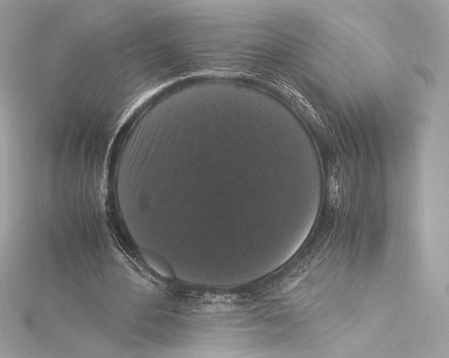 X0000115340484200911301551