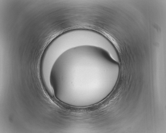 X0000115340485200911301551