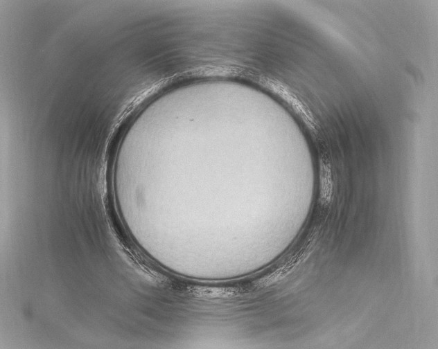 X0000115340486200911301551