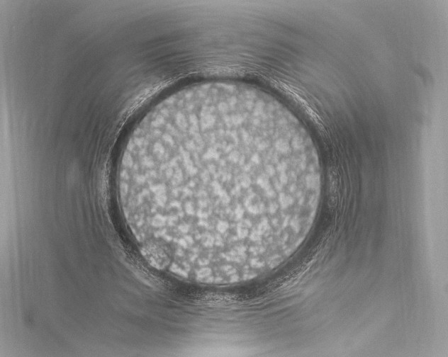 X0000115340487200911301551