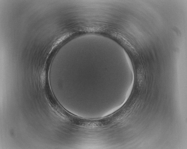 X0000115340488200911301551