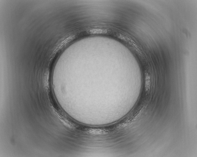 X0000115340490200911301551