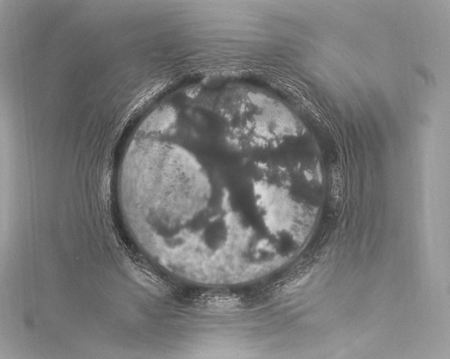 X0000115340491200911301550