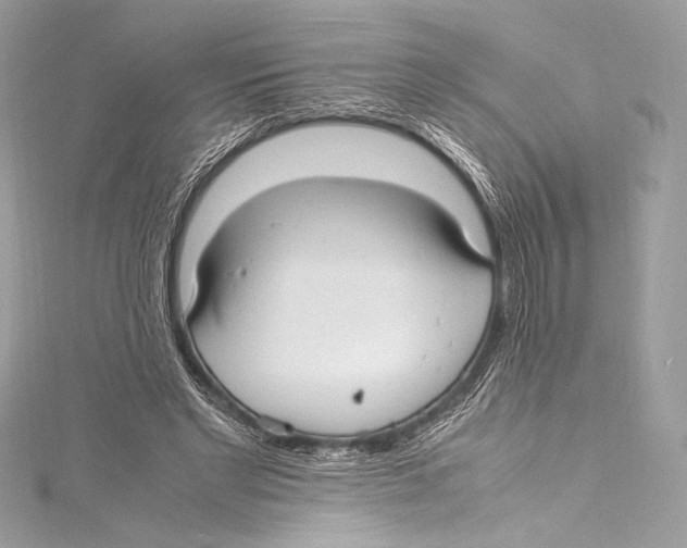 X0000115340493200911301550