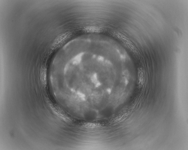 X0000115340494200911301550