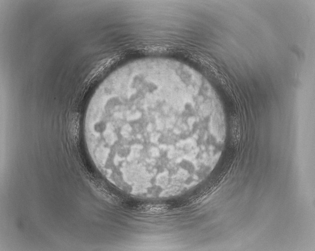 X0000115340495200911301550