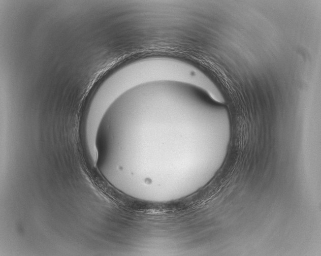 X0000115340496200911301550