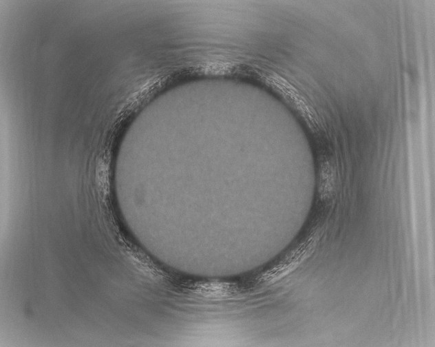 X0000115340497200911301550