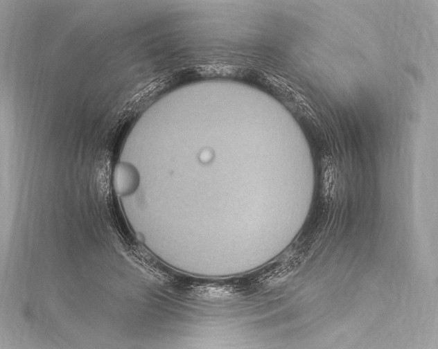 X0000115340498200911301550