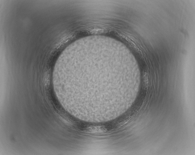 X0000115340499200911301550