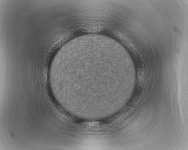 X0000115340501200911301550