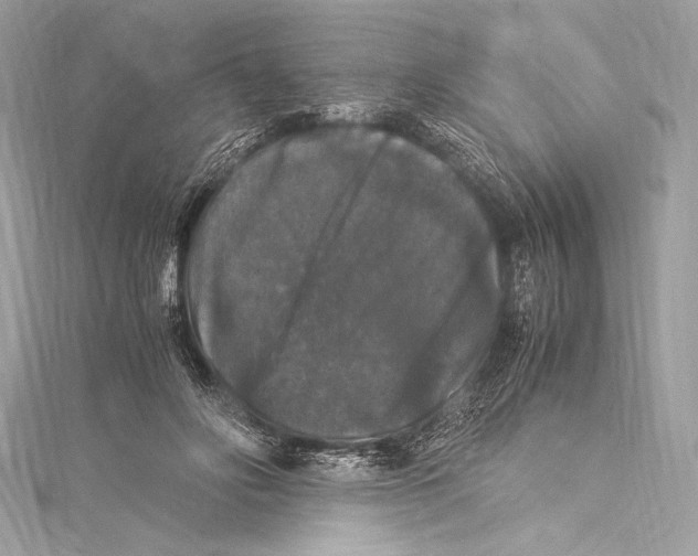 X0000115340502200911301550