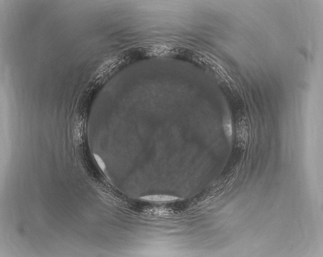 X0000115340503200911301550