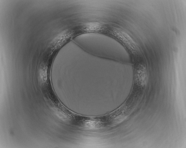 X0000115340504200911301550