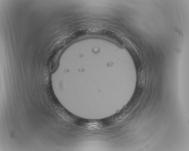 X0000115340505200911301550