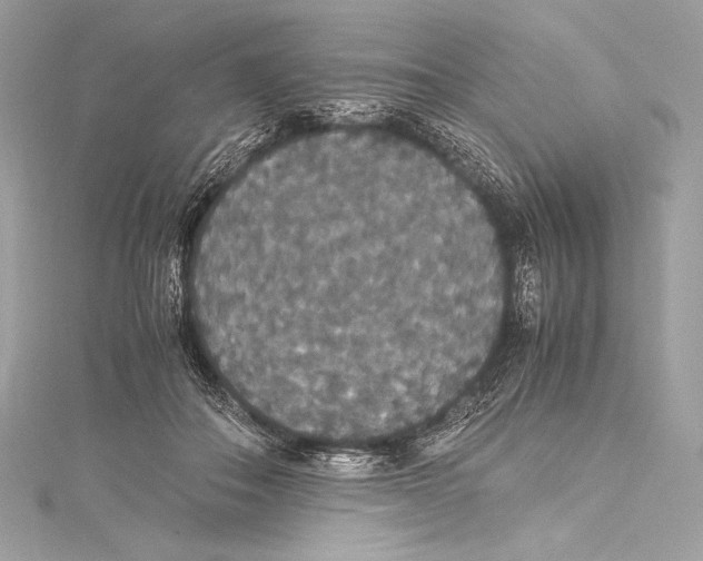 X0000115340506200911301550