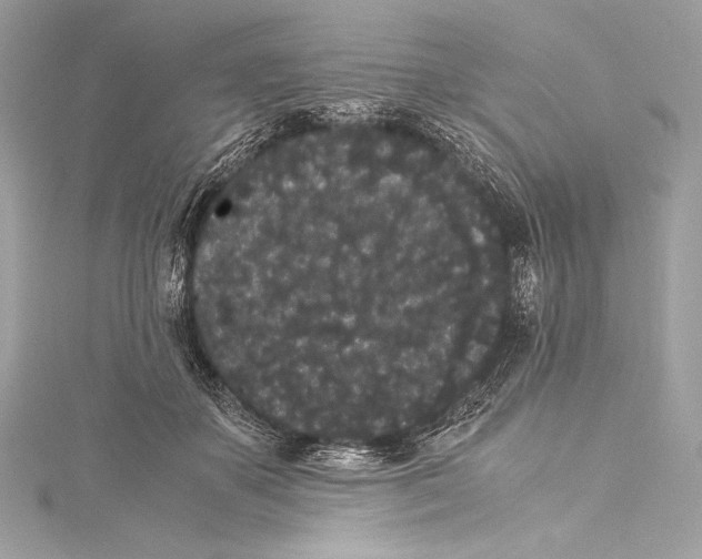 X0000115340507200911301550