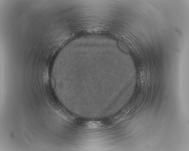 X0000115340508200911301550