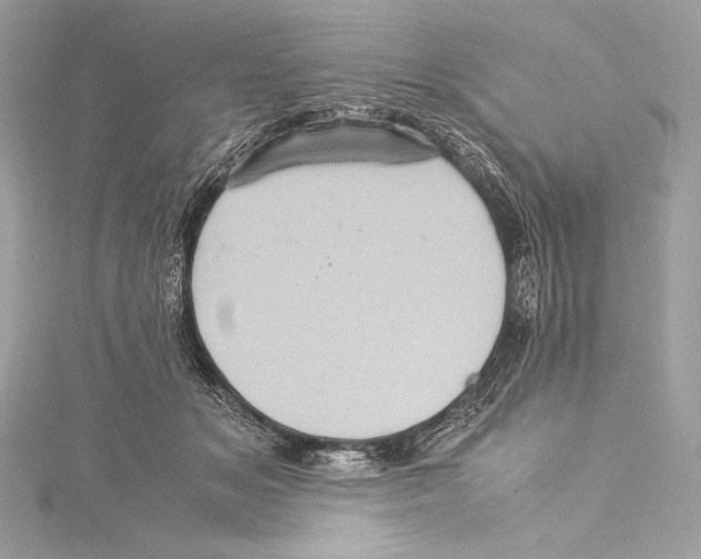 X0000115340509200911301550