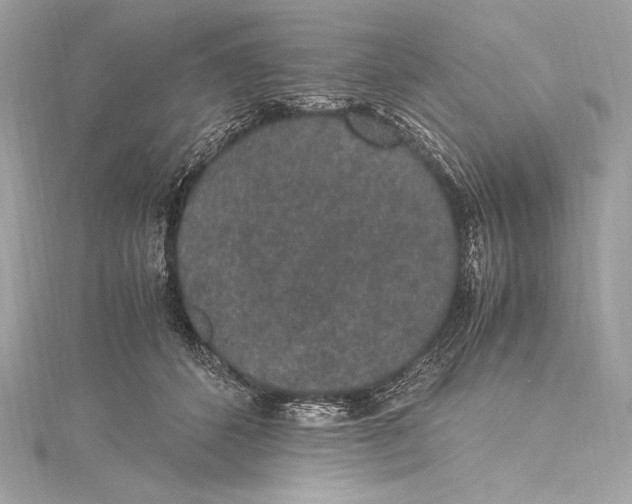 X0000115340512200911301550