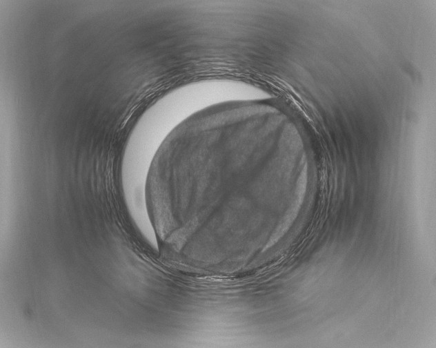 X0000115340516200911301550