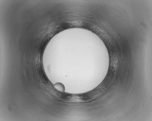 X0000115340518200911301550