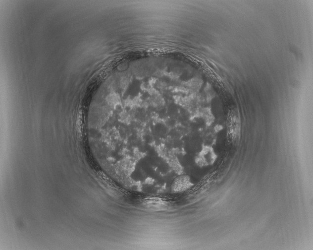 X0000115340519200911301550