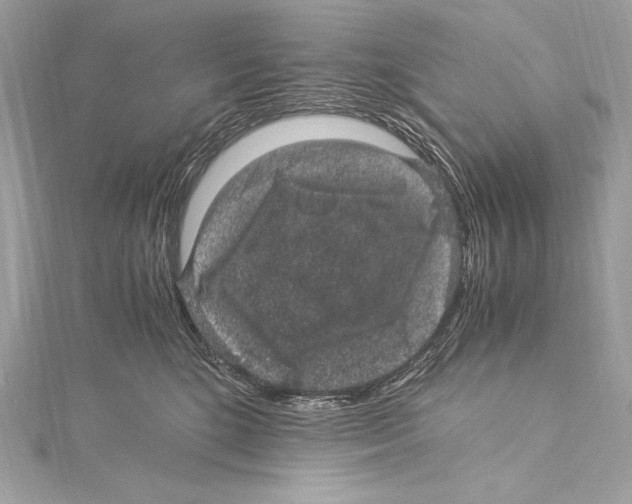 X0000115340520200911301550