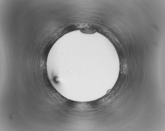 X0000115340521200911301550