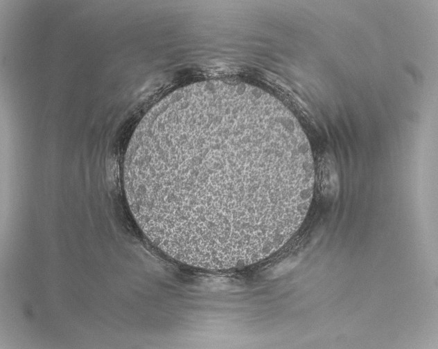 X0000115340523200911301550