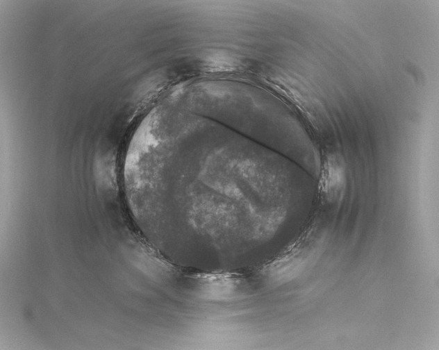 X0000115340524200911301550