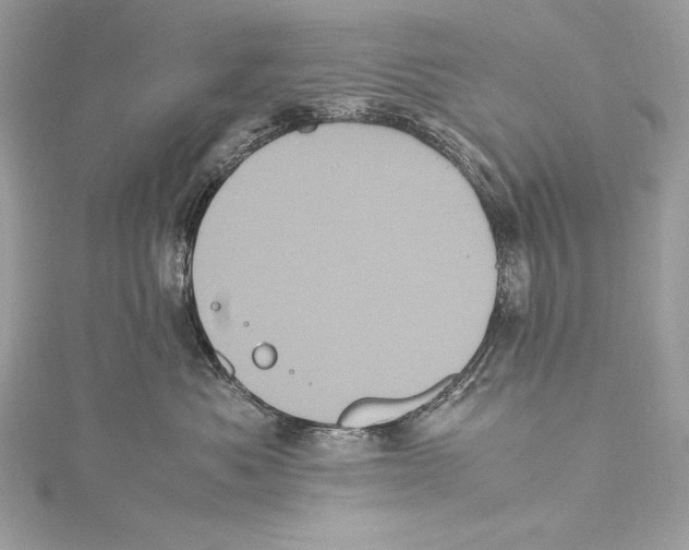 X0000115340525200911301550