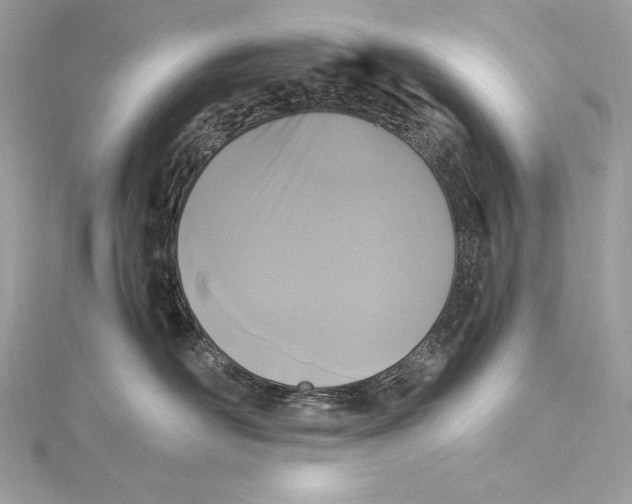 X0000115340526200911301550