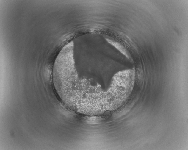 X0000115340527200911301550