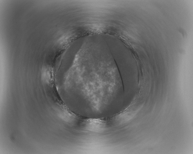 X0000115340528200911301550