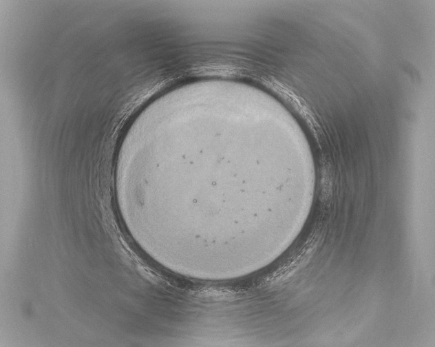 X0000115340529200911301549