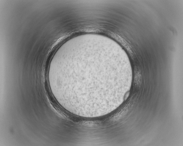 X0000115340530200911301549