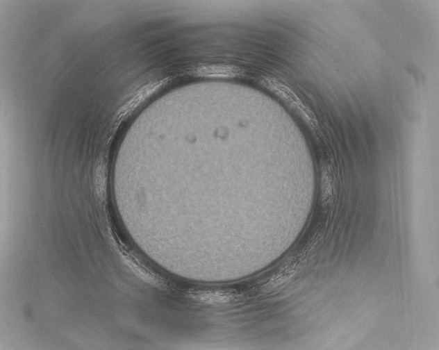 X0000115340533200911301549