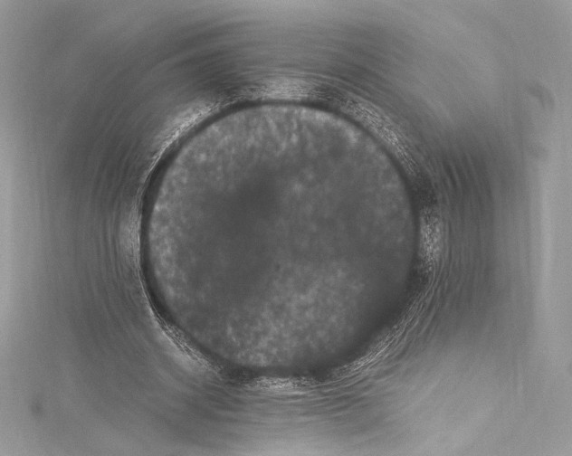 X0000115340534200911301549